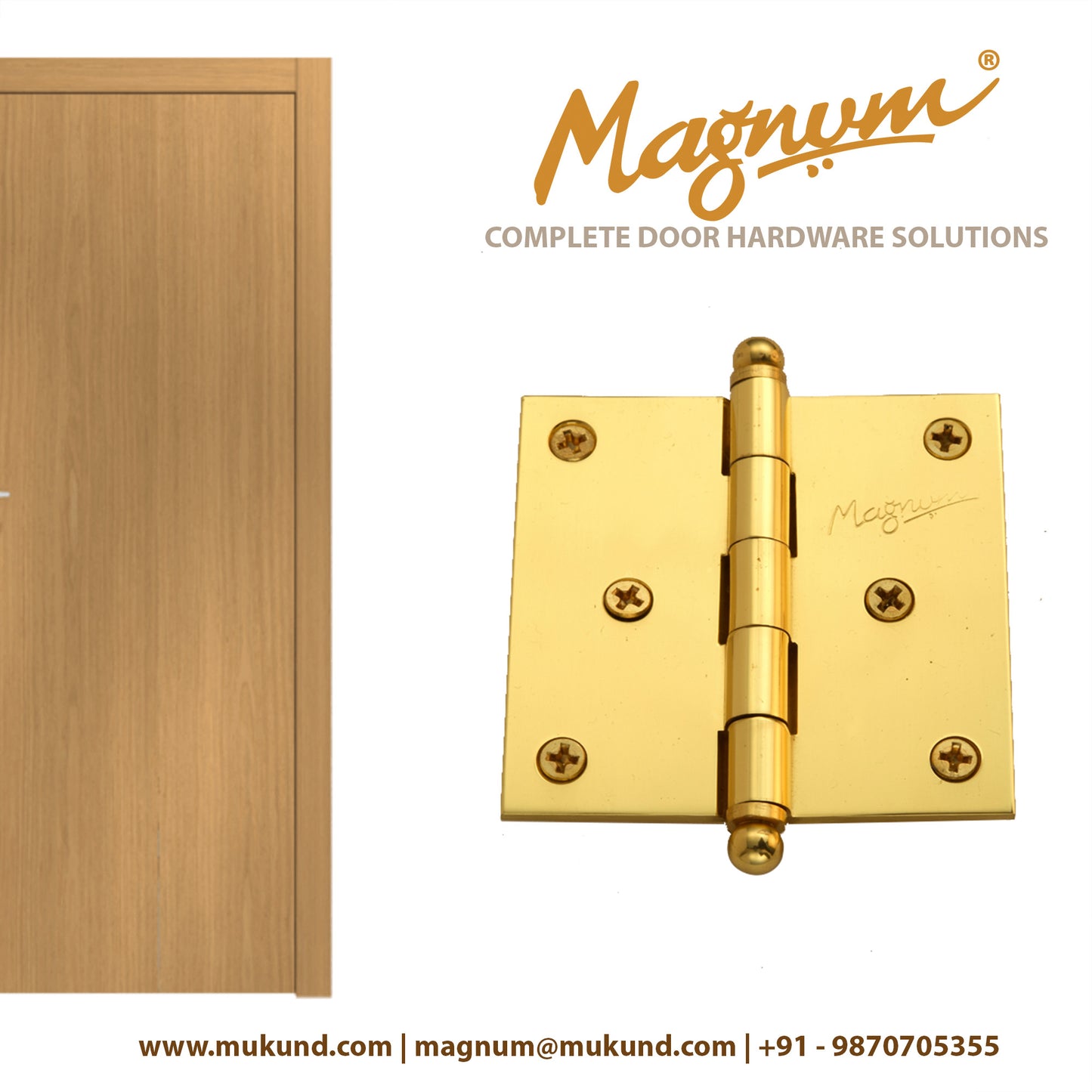 Brass Cabinet Hinges.