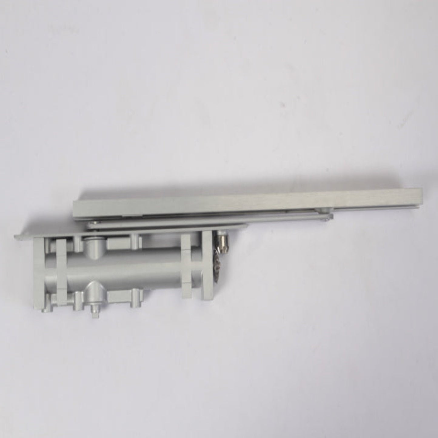 1009 Whale Door Closer