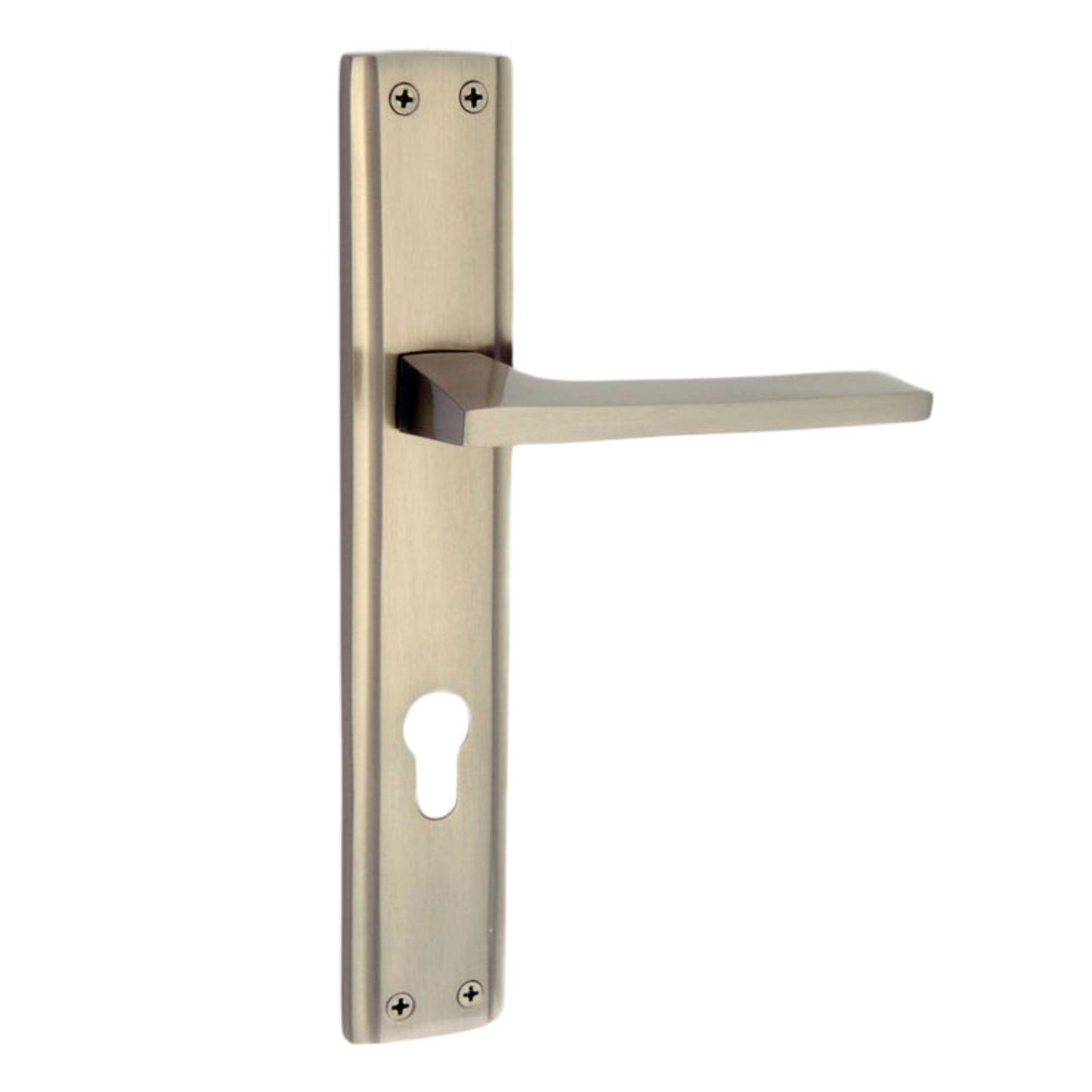 Fabina On Plate Brass Mortise Handle