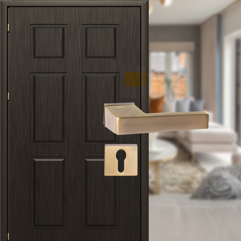 Aries on Rose Mortise Lever Handle