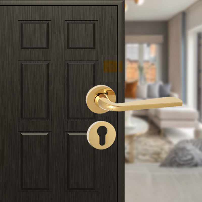 Aastha on Rose Mortise Lever Handle