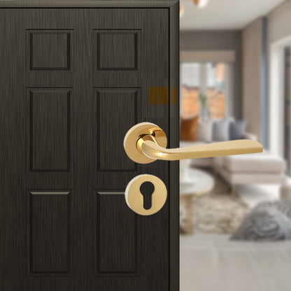 Aastha on Rose Mortise Lever Handle