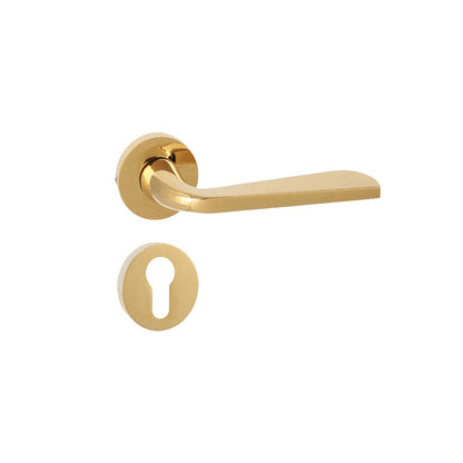 Aastha on Rose Mortise Lever Handle