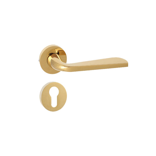 Aastha on Rose Mortise Lever Handle