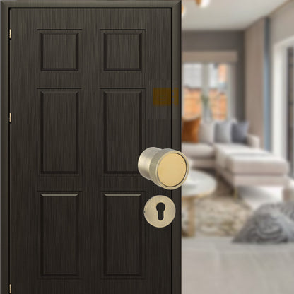 Alba on Rose Mortise Lever Handle