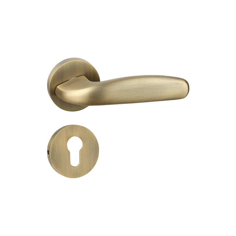 Arun on Rose Mortise Lever Handle