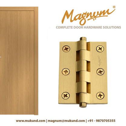 Brass Railway Hinges