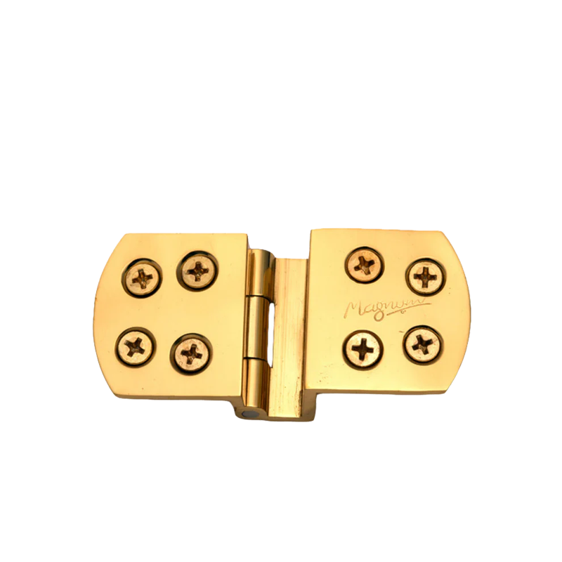 Brass W - Hinges