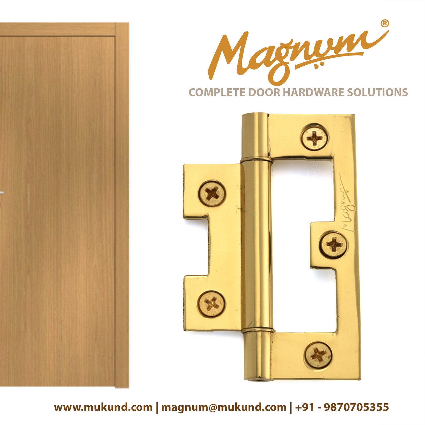 Brass Bi-Fold Hinges