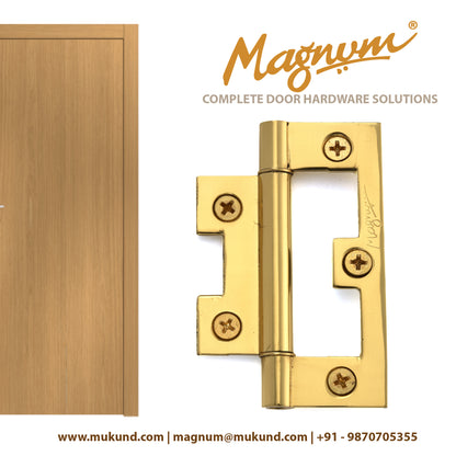Brass Bi-Fold Hinges