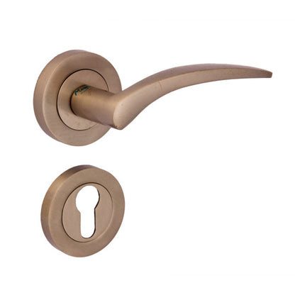Classic On Rose Brass Mortise Lever Handle
