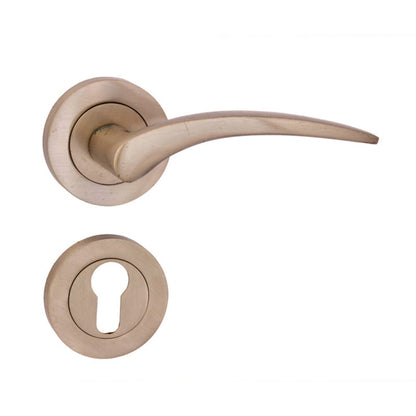 Classic On Rose Brass Mortise Lever Handle