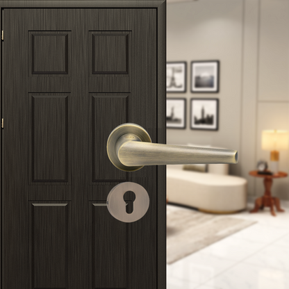 Cruz Brass Mortise Lever  Handle