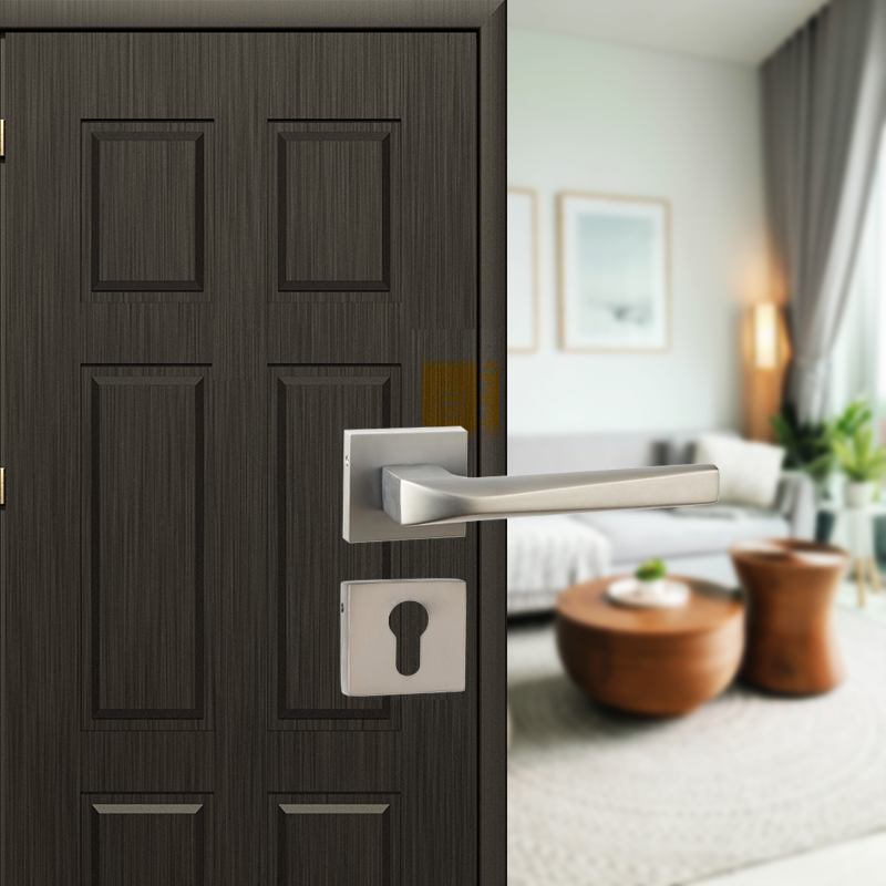 Ekaa on Rose Mortise Lever Handle