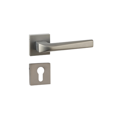 Ekaa on Rose Mortise Lever Handle
