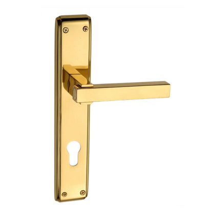 Eldora On Plate Brass Mortise Handle