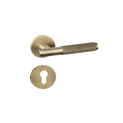 Kavya on Rose Mortise Lever Handle