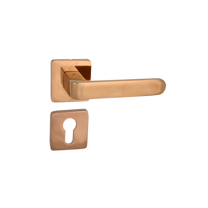 Lara On Rose Mortise Lever Handle