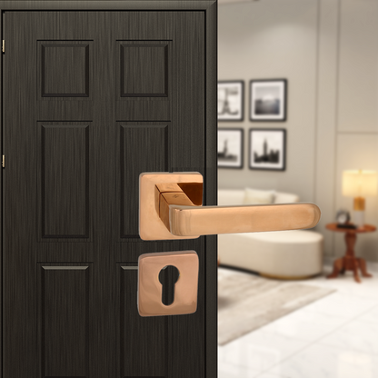Lara On Rose Mortise Lever Handle