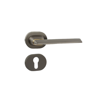 Mindful on Rose Mortise Lever handle