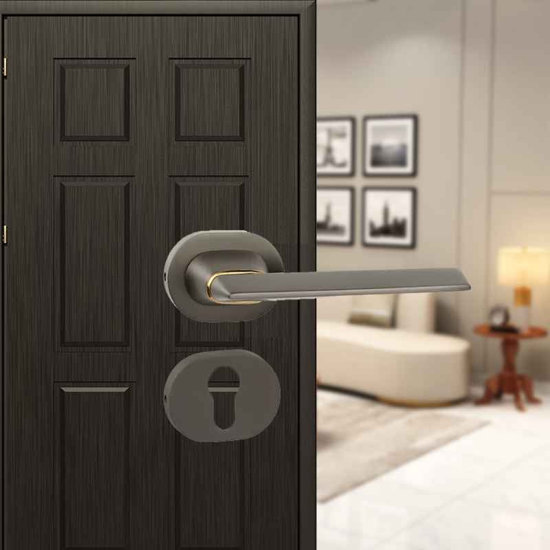 Mindful on Rose Mortise Lever handle