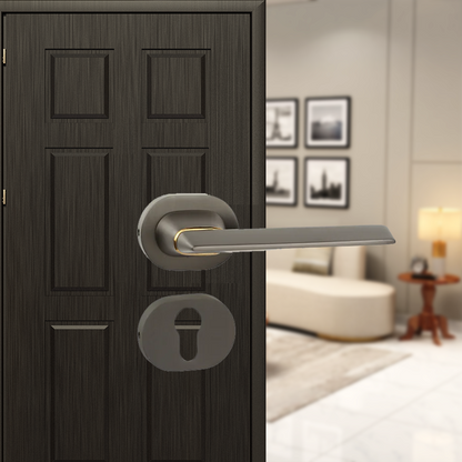 Mindful on Rose Mortise Lever handle