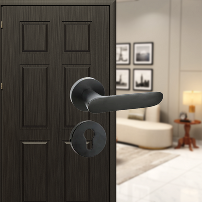 Pragya on Rose Mortise Lever Handle
