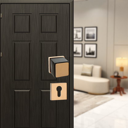 Rudra on Rose Mortise Lever  Handle