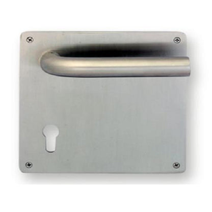 SP31 Push with Handle Sign Plate