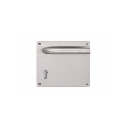 SP31 Push with Handle Sign Plate