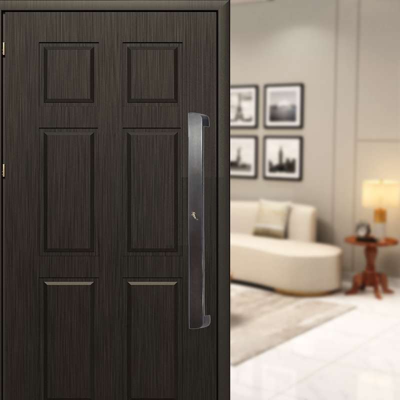 Tierra Brass Pull Handle