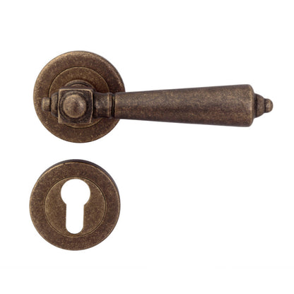 Veera Brass Mortise Lever Handle