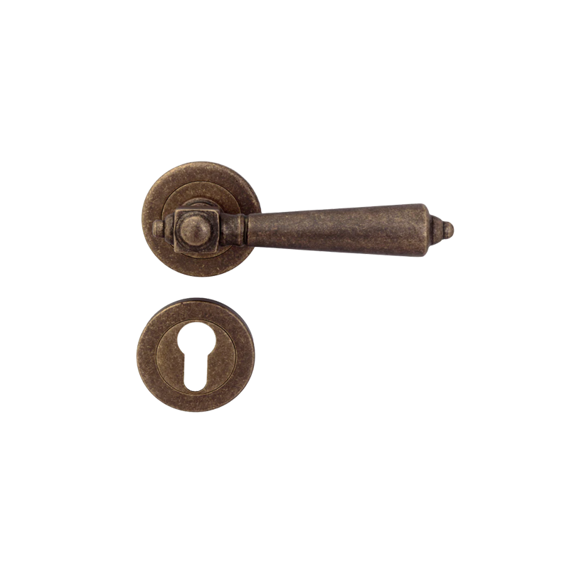 Veera Brass Mortise Lever Handle