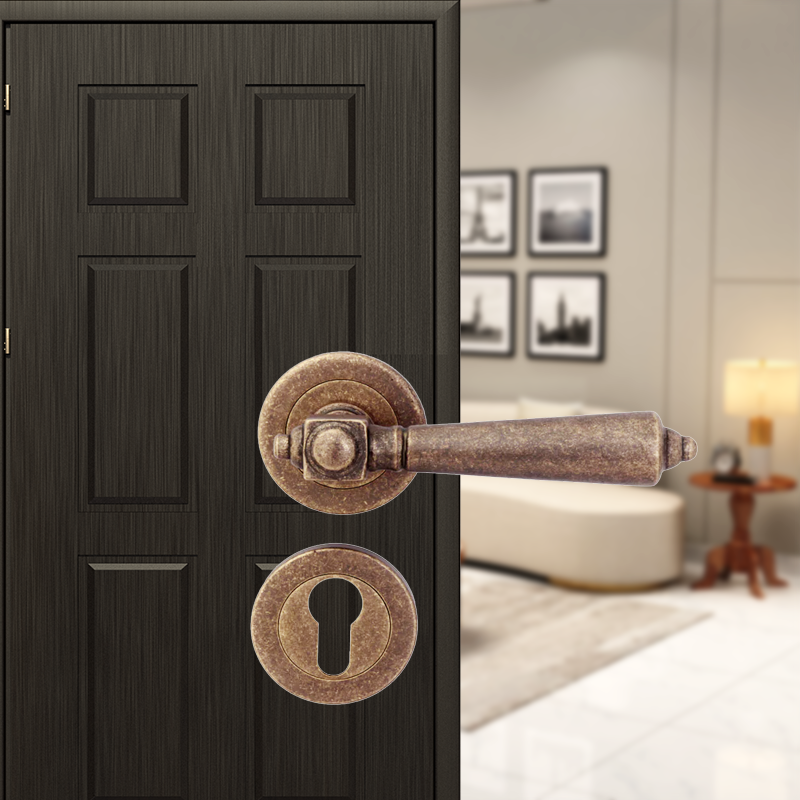 Veera Brass Mortise Lever Handle