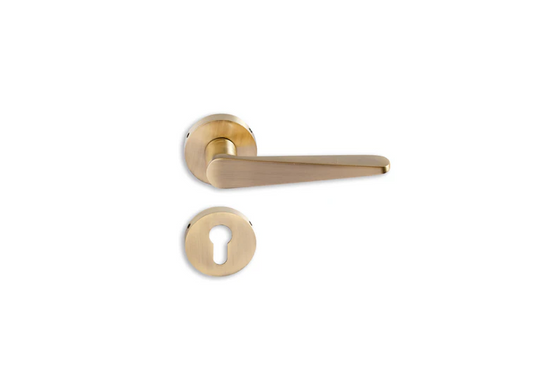 Venus on Rose Mortise Lever Handle