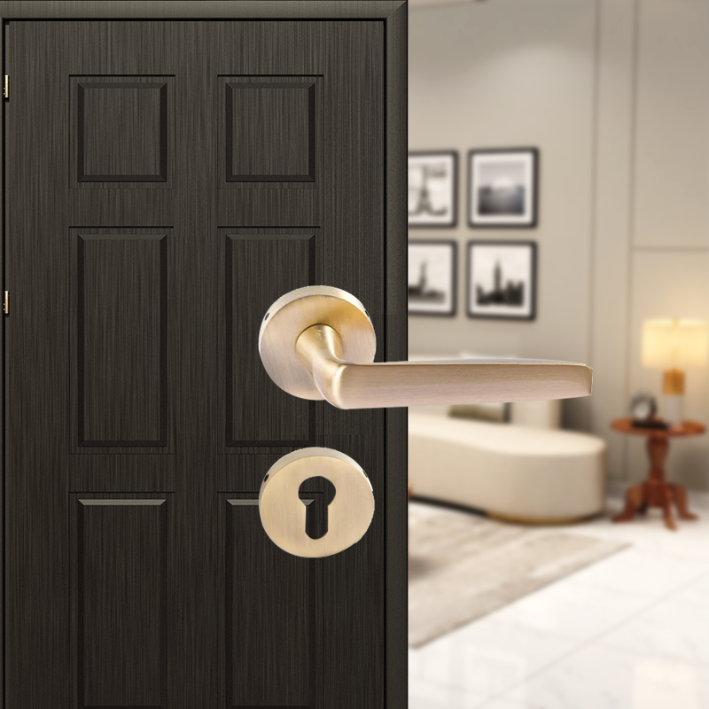 Venus on Rose Mortise Lever Handle