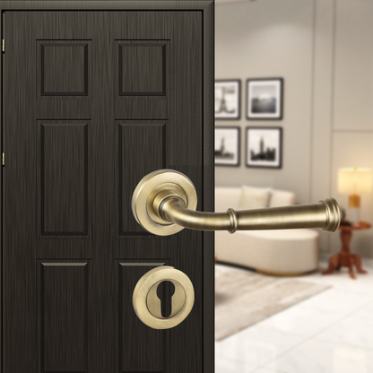 Xavier Brass Mortise Lever Handle