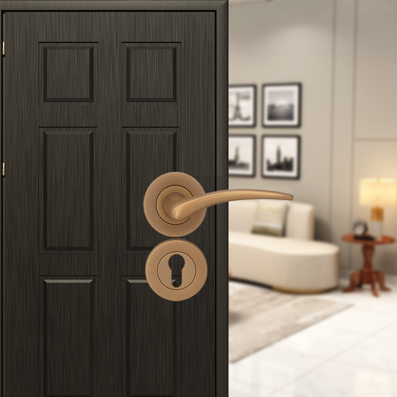 classic  on rose Mortise Lever Handle